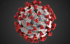 microscopic example of a coronavirus