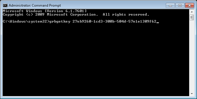 DOS Prompt with Pasted Command