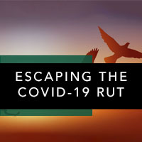 Escaping the COVID-19 Rut