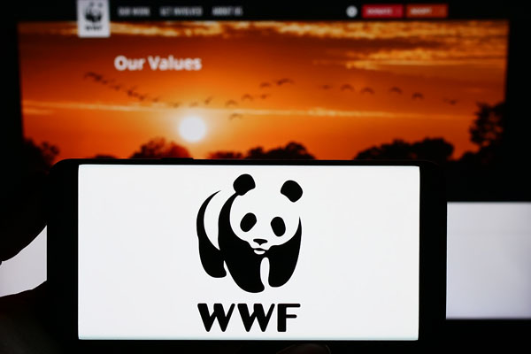 Person holding smartphone with logo of World Wide Fun Inc. (WWF) on screen in front of website