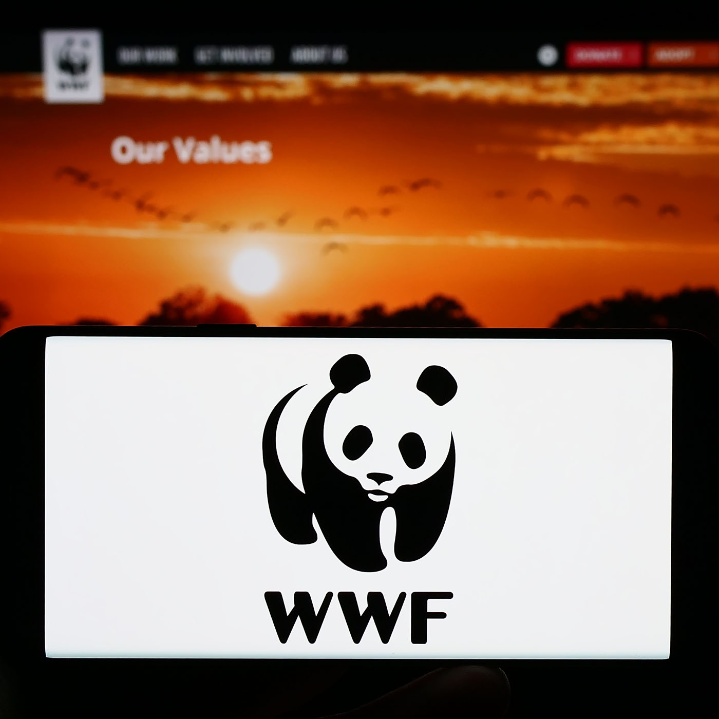 Person holding smartphone with logo of World Wide Fun Inc. (WWF) on screen in front of website